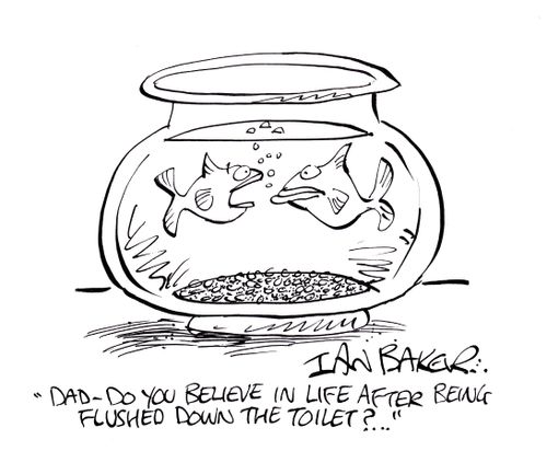 'Dad, do you believe in life after being flushed down the toilet?...'