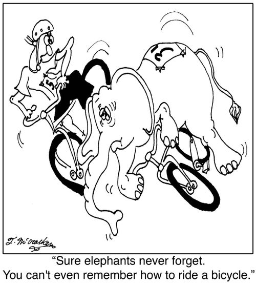 'Sure elephants never forget. You can't even remember how to ride a bicycle.'