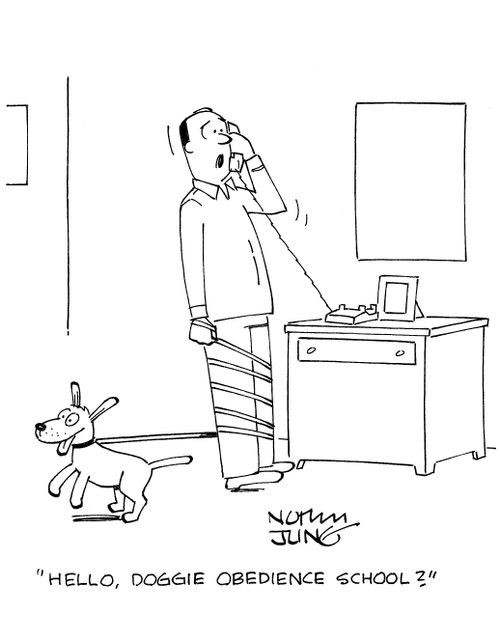 'Hello, doggie obedience school?'