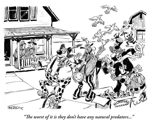 'The worst of it is they don't have any natural predators...'