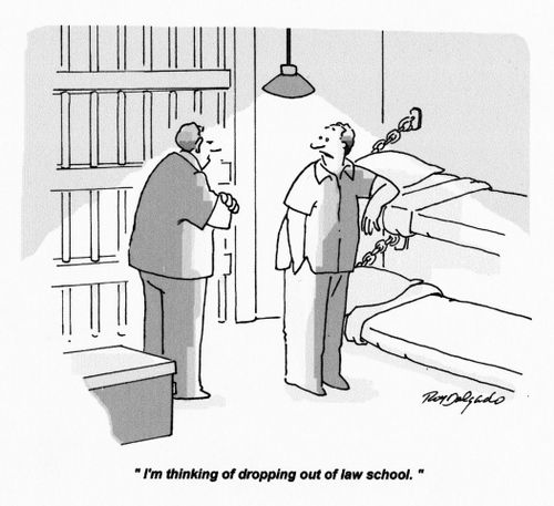 'I'm thinking of dropping out of law school.'