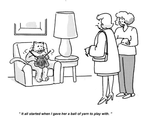 'It all started when I gave her a ball of yarn to play with.'