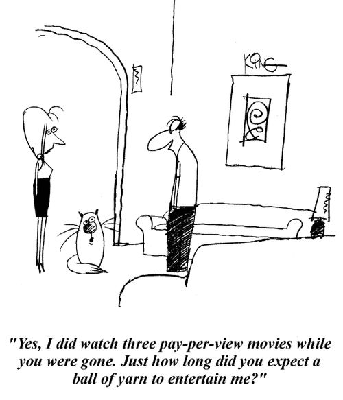 'Yes, I did watch three pay-per-view movies while you were gone. Just how long did you expect a ball of yarn to entertain me?'