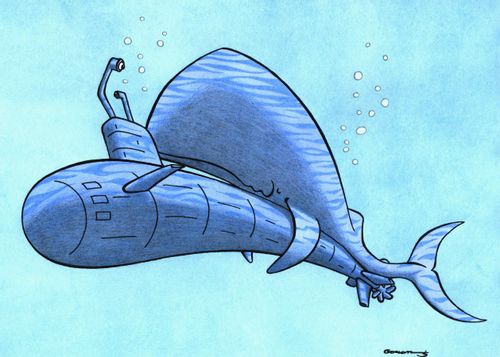 Affectionate whale