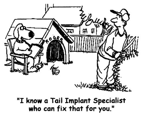 'I know a Tail Implant Specialist who can fix that for you.'