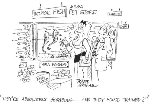 'They're absolutely gorgeeous-are they house trained?'