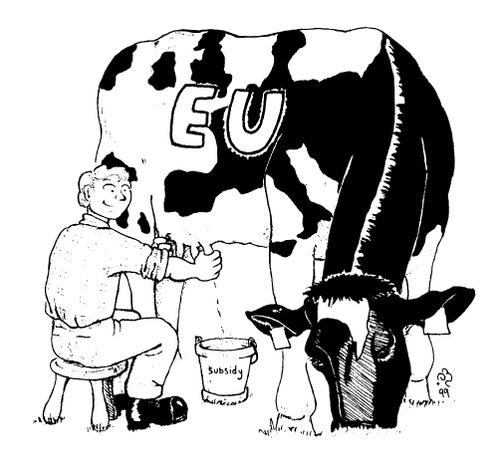 Man milking 'subsidy' from an EU cow