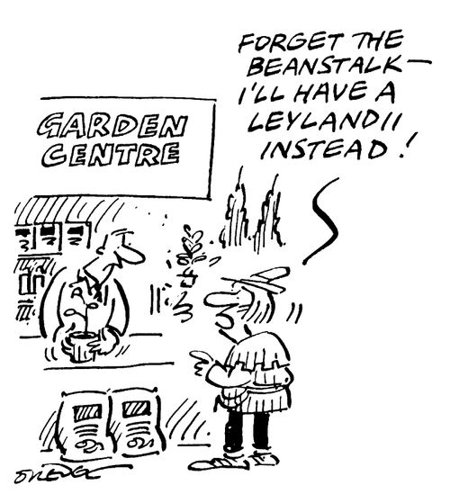 "Forget the beanstalk - I'll have a leylandii instead!"