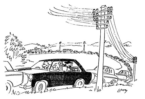 Telephone Pole Spotting