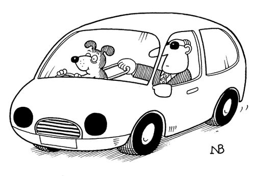 Guide Dog Driver