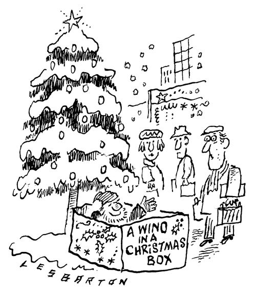 Wino in a Christmas Box
