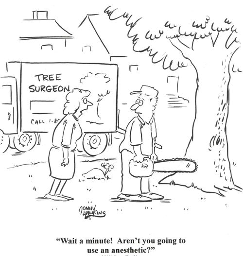 'Wait a minute! Aren't you going to use an anesthetic?'