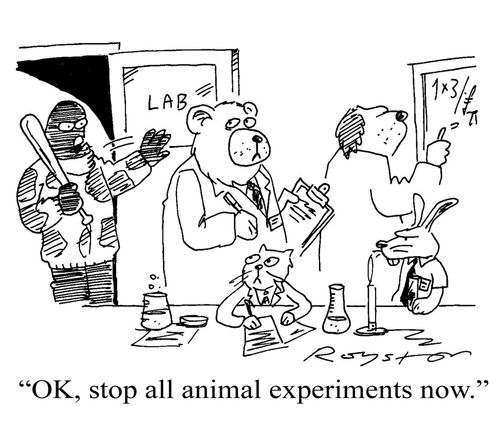 'OK, stop all animal experiments now.'