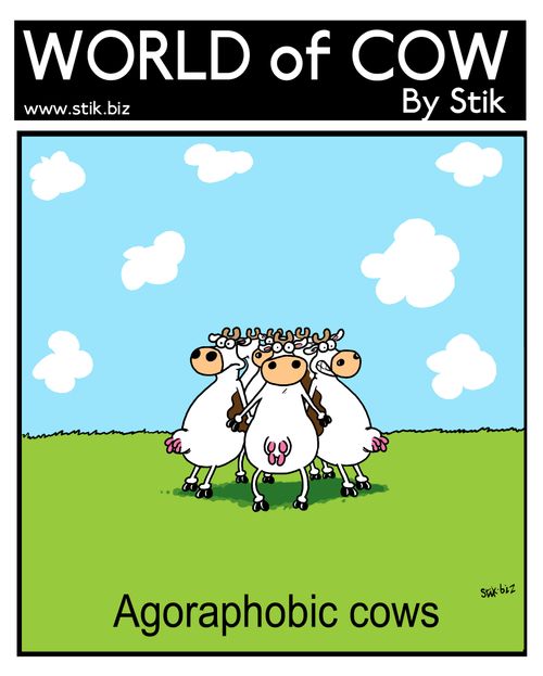 Agoraphobic cows.