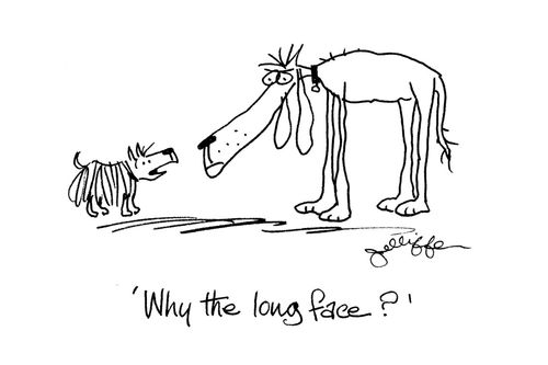 'Why the long face?'