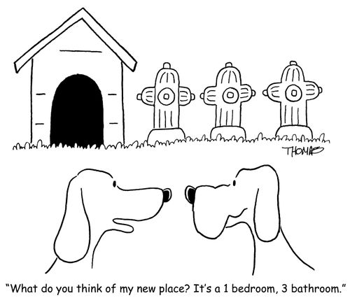 'What do you think of my new place? It's a 1 bedroom, 3 bathroom.'