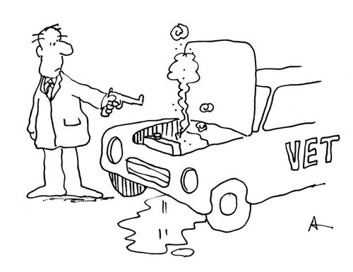 Vet's car has broken down and he shoots it.