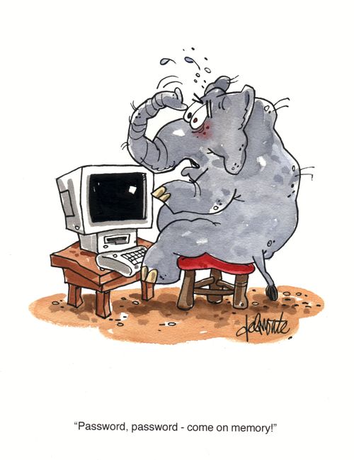 'Password, password - come on Memory!'