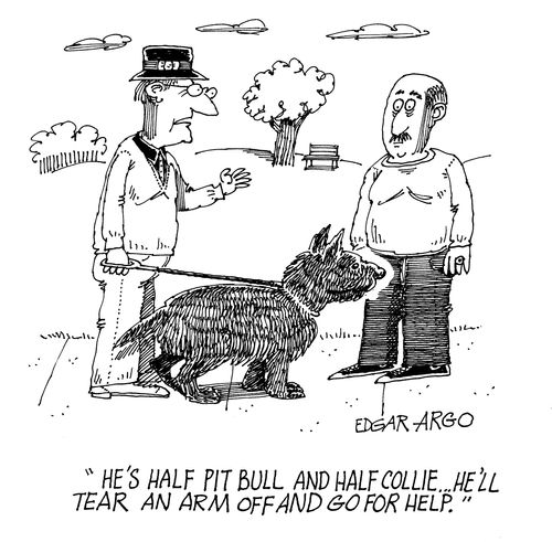 'He's half Pit bull and half Collie. He'll tear an arm off and go for help.'