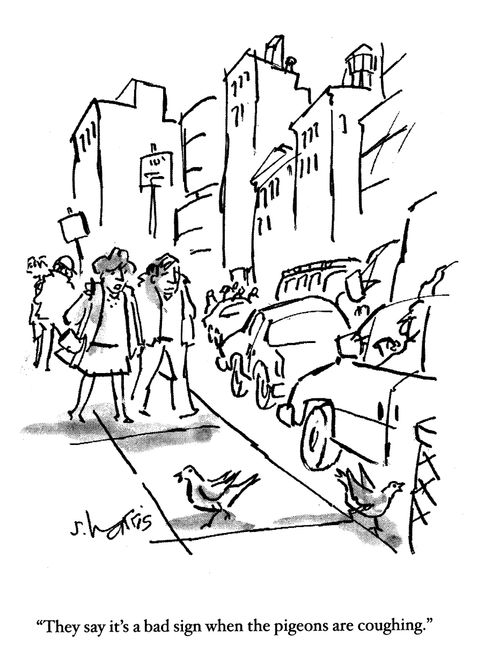 'They say it's a bad sign when the pigeons are coughing.'