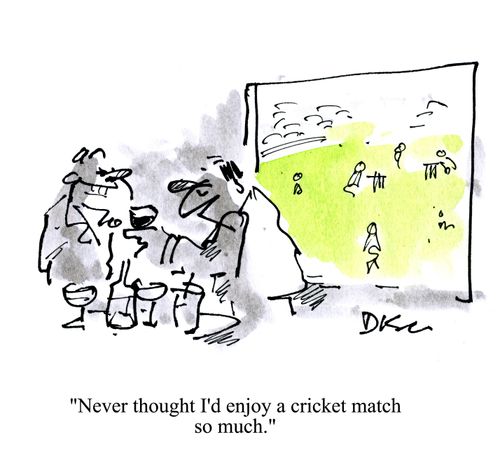 'Never thought I'd enjoy a cricket match so much.'