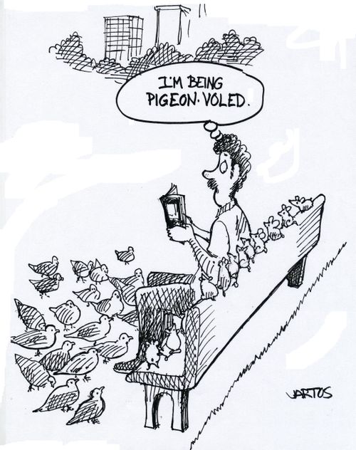 'I'm being Pigeon Voled.'