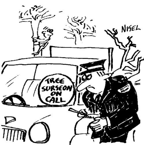 'Tree Surgeon On Call' notice on car comes to the attention of Traffic Warden.
