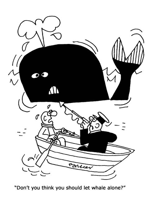 'Don't you think you should let whale alone?'