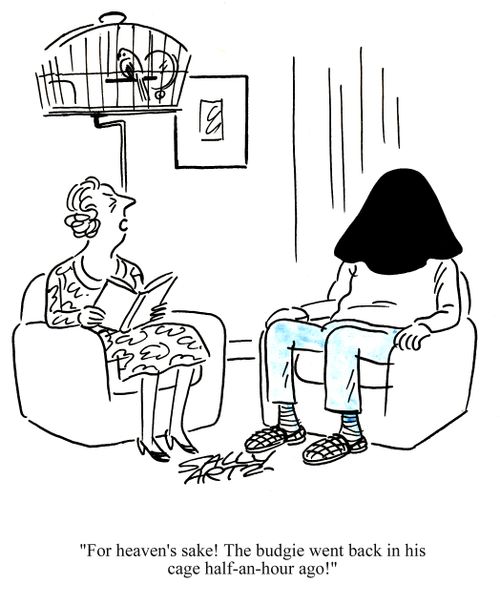 'For heaven's sake! The budgie went back in his cage half-an-hour ago!'