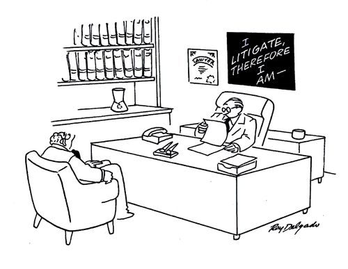 I Litigate Therefore I Am.