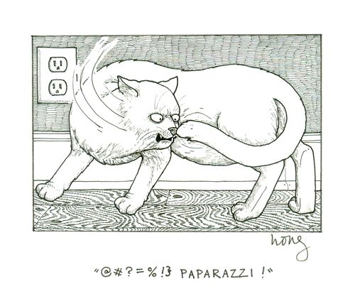 '@#$=%!} paparazzi!'