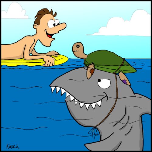 Turtle Hat