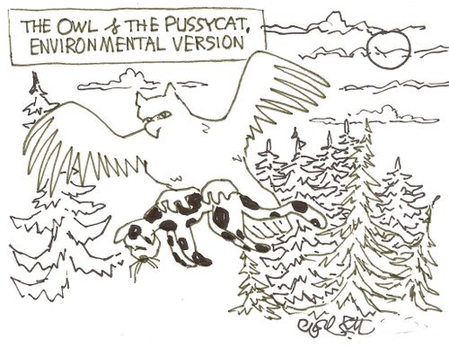 The Owl and the Pussycar, Environmental version'