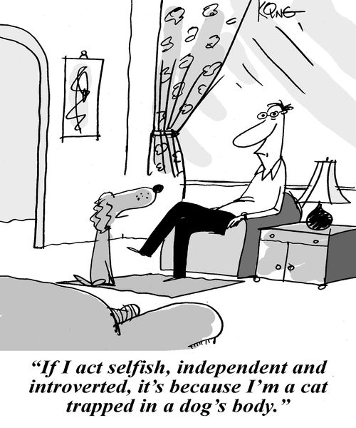 'If I act selfish, independent and introverted, it's because I'm a cat trapped in a dog's body.'