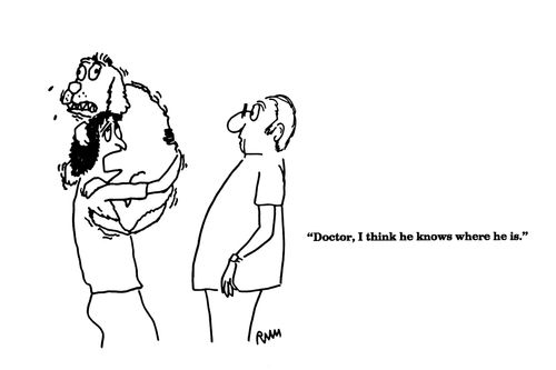 'Doctor, I think he knows where he is.'