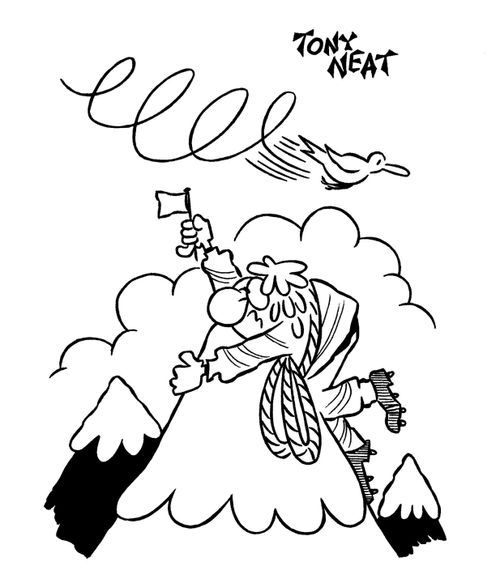Mountaineer dive-bombed by bird