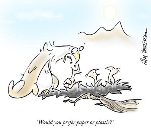 'Would you prefer paper or plastic?'