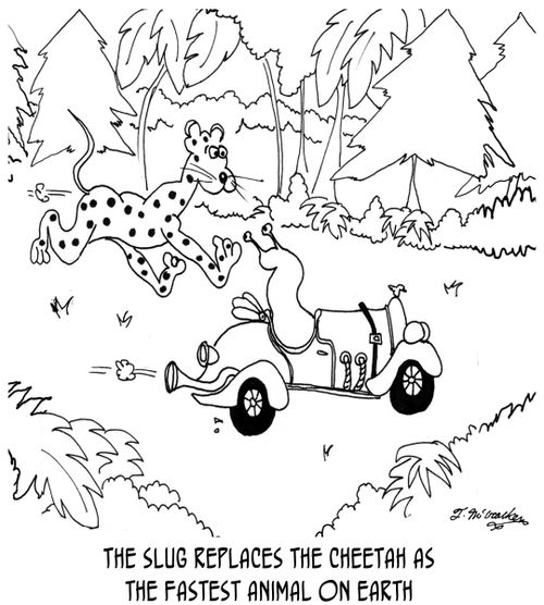 The slug replaces the cheetah as the fastest animal on earth.