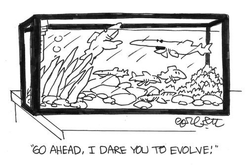 'Go ahead- I dare you to evolve!'