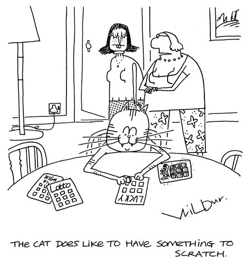 'The cat does like having something to scratch.'