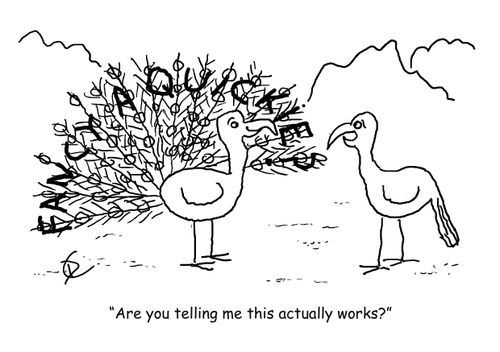 'Are you telling me this actually works?'