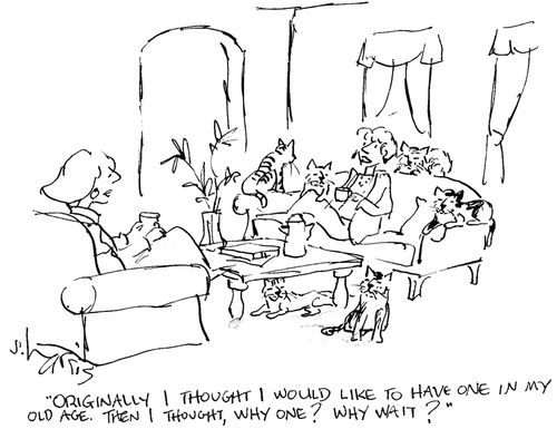 'Originally I thought I would like to have one in my old age.  Then I thought. why one' Why wait?'