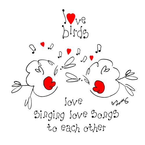 Love Birds love singing to each other