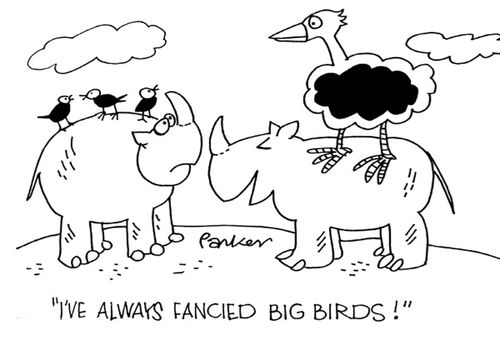 'I've always fancied big birds!'