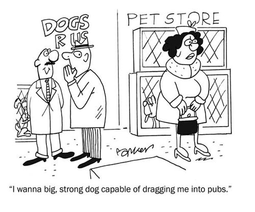 'I wanna big strong dog capable of dragging me into pubs.'