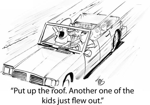 'Put up the roof. Another one of the kids just flew out.'