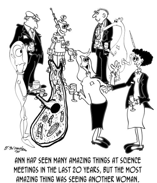Ann had seen many amazing things at science meetings in the last 20 years, but the most amazing thing was seeing another woman.