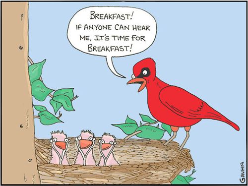 'Breakfast! If anyone can hear me, it's time for breakfast.'