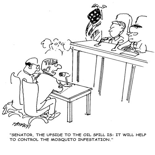 'Senator, the upside to the oil spill is: it will help to control the mosquito infestation.'