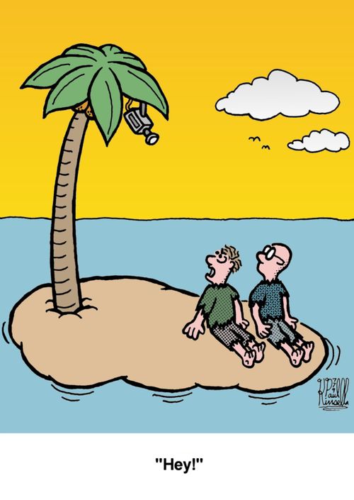 Desert Island Surveillance.